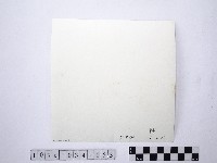黃則修攝野柳地景藏品圖，第2張