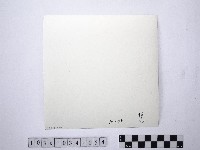 黃則修攝野柳地景藏品圖，第2張