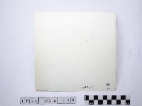 黃則修攝野柳地景藏品圖，第2張