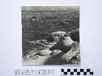 黃則修攝野柳地景燭臺石藏品圖，第1張