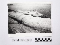 黃則修攝野柳地景藏品圖，第1張