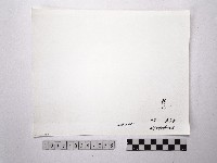 黃則修攝野柳地景藏品圖，第2張