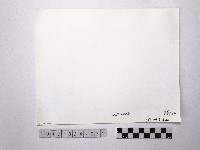 黃則修攝野柳地景藏品圖，第2張