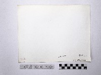 黃則修攝野柳地景藏品圖，第2張