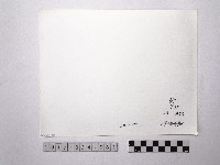 黃則修攝野柳地景藏品圖，第2張