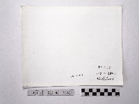 黃則修攝野柳地景藏品圖，第2張