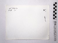 黃則修攝野柳地景藏品圖，第2張