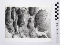 黃則修攝野柳地景藏品圖，第1張