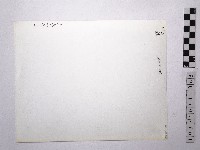 黃則修攝野柳地景藏品圖，第2張