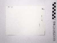 黃則修攝野柳地景藏品圖，第2張