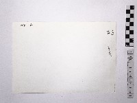 黃則修攝野柳地景藏品圖，第2張