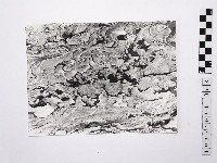 黃則修攝野柳地景藏品圖，第1張