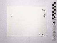 黃則修攝野柳地景藏品圖，第2張