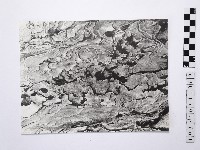 黃則修攝野柳地景藏品圖，第1張