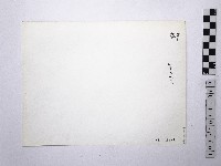 黃則修攝野柳地景藏品圖，第2張