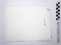 黃則修攝野柳地景藏品圖，第2張