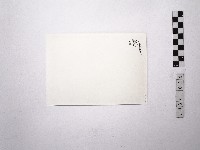 黃則修攝泰雅族老嫗藏品圖，第2張