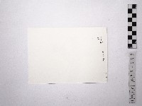 黃則修攝舞者許惠美2藏品圖，第2張