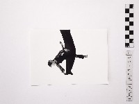 黃則修攝舞者許惠美3藏品圖，第1張