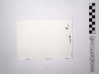 黃則修攝舞者許惠美3藏品圖，第2張