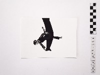 黃則修攝舞者許惠美4藏品圖，第1張