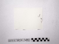 黃則修攝裸女1藏品圖，第2張