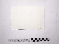 黃則修攝裸女2藏品圖，第2張