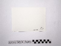 黃則修攝裸女3藏品圖，第2張