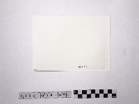 黃則修攝裸女4藏品圖，第2張