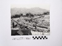 黃則修攝建築物藏品圖，第1張