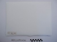 黃則修攝野柳地景藏品圖，第2張