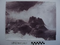 黃則修攝野柳地景藏品圖，第1張