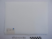 黃則修攝野柳地景藏品圖，第2張