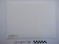 黃則修攝野柳地景藏品圖，第2張