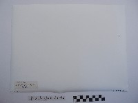 黃則修攝野柳地景藏品圖，第2張