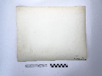 黃則修攝石門水庫壩基的原貌藏品圖，第2張