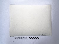 黃則修攝歸舟藏品圖，第2張