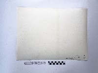 黃則修攝三峽橋藏品圖，第2張