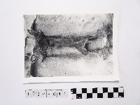 黃則修攝野柳地景藏品圖，第1張