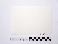 黃則修攝野柳地景藏品圖，第2張