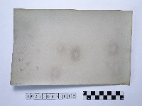 黃則修攝龍山寺系列照片佈展樣版12藏品圖，第2張