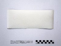 黃則修攝野柳系列照片佈展樣版4藏品圖，第2張