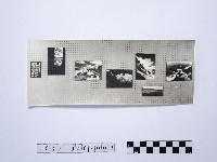 黃則修攝野柳系列照片佈展樣版9藏品圖，第1張