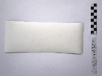 黃則修攝野柳系列照片佈展樣版11藏品圖，第2張