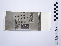 黃則修攝野柳系列照片佈展樣版12藏品圖，第1張