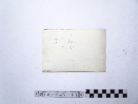 黃則修攝龍山寺系列照片民國五十年展覽會佈展樣版1藏品圖，第2張