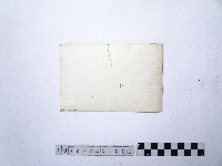 黃則修攝龍山寺系列照片民國五十年展覽會佈展樣版2藏品圖，第2張