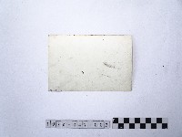 黃則修攝龍山寺系列照片民國五十年展覽會佈展樣版3藏品圖，第2張