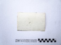 黃則修攝龍山寺系列照片民國五十年展覽會佈展樣版7藏品圖，第2張