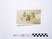 黃則修攝龍山寺系列照片民國五十年展覽會佈展樣版11藏品圖，第1張